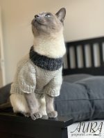 Free cats or small dogs pdf knitting patterns