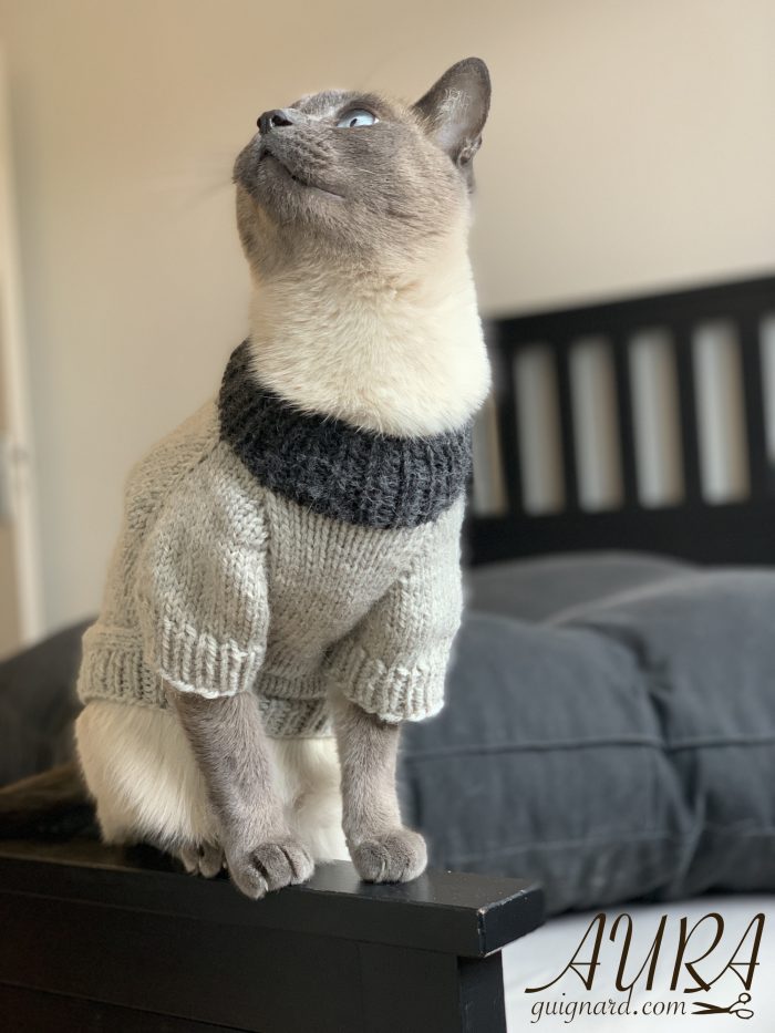 Free cats or small dogs pdf knitting patterns