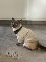 Free cats or small dogs pdf knitting patterns