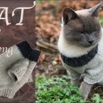 Free cat or small dog sweater knitting pattern with video tutorial by Aura Guignard
