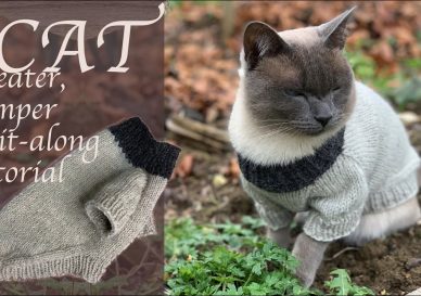 Free cat or small dog sweater knitting pattern with video tutorial by Aura Guignard