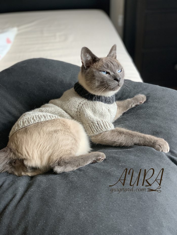 Free cats or small dogs pdf knitting patterns